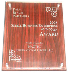 2008-Small-Business-Enterpr